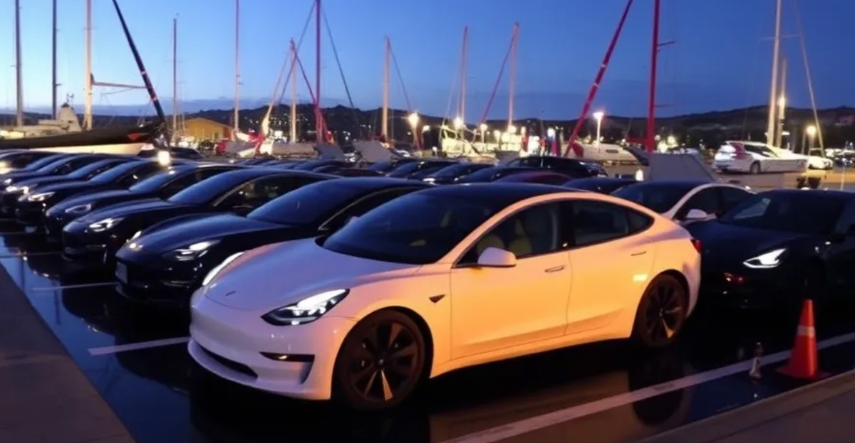 Изображение Fastflux  📷
