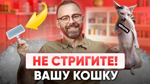 Вот почему ВАМ не стоит стричь свою КОШКУ!