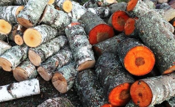 Заготавливаем. Напилили, пора и колоть.) Береза и ольха.