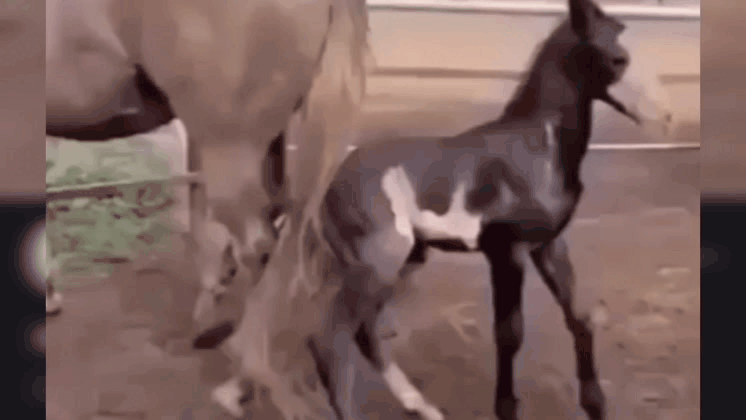 "Преступления и наказания!" 