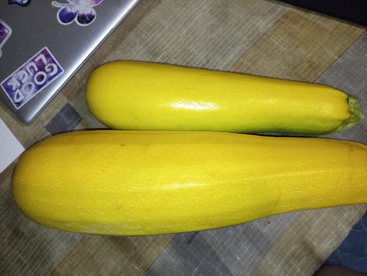 У меня теперь тоже есть кабачки! А то все ржут и шлют мемы, а мне никто их не давал! Пожаловалась соседке. Вот они, мои хорошие 😍