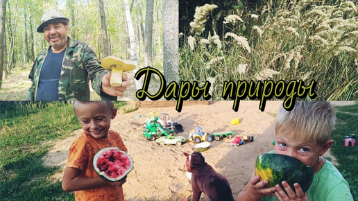 🍉Урожай 2024. Дойка💥/Дубовый лес.🌳