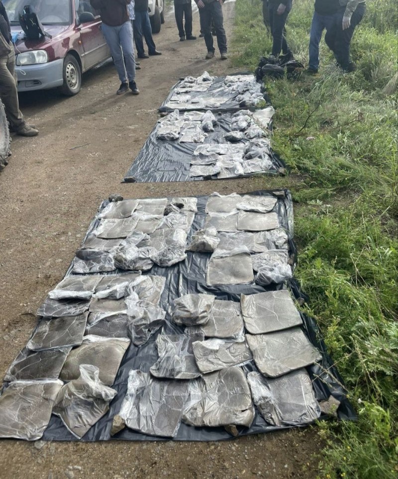    43 килограмма гашиша. Фото: УФСБ России по Челябинской области.