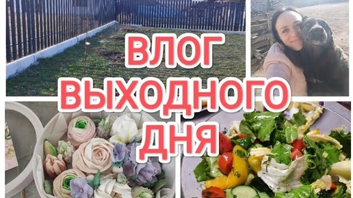 ВЫХОДНОЙ ДЕНЬ_ ДОМАШНИЕ ДЕЛА_ ПОЕЗДКА В ПРИЮТ, ВЫСАЖИВАЮ ДЕРЕВЬЯ, ПОДАРКИ, УБОРКА НА КУХНЕ_