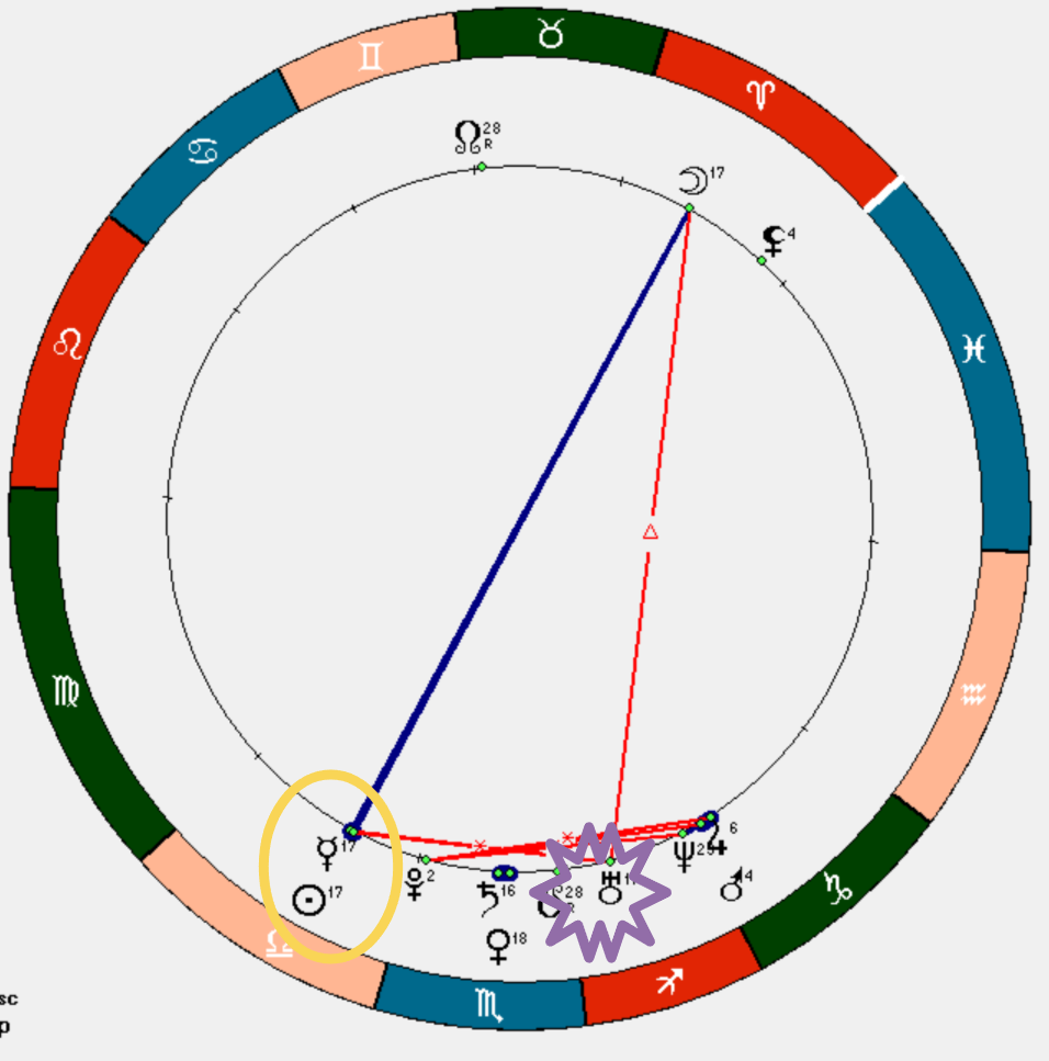 Космограмма Павла Дурова