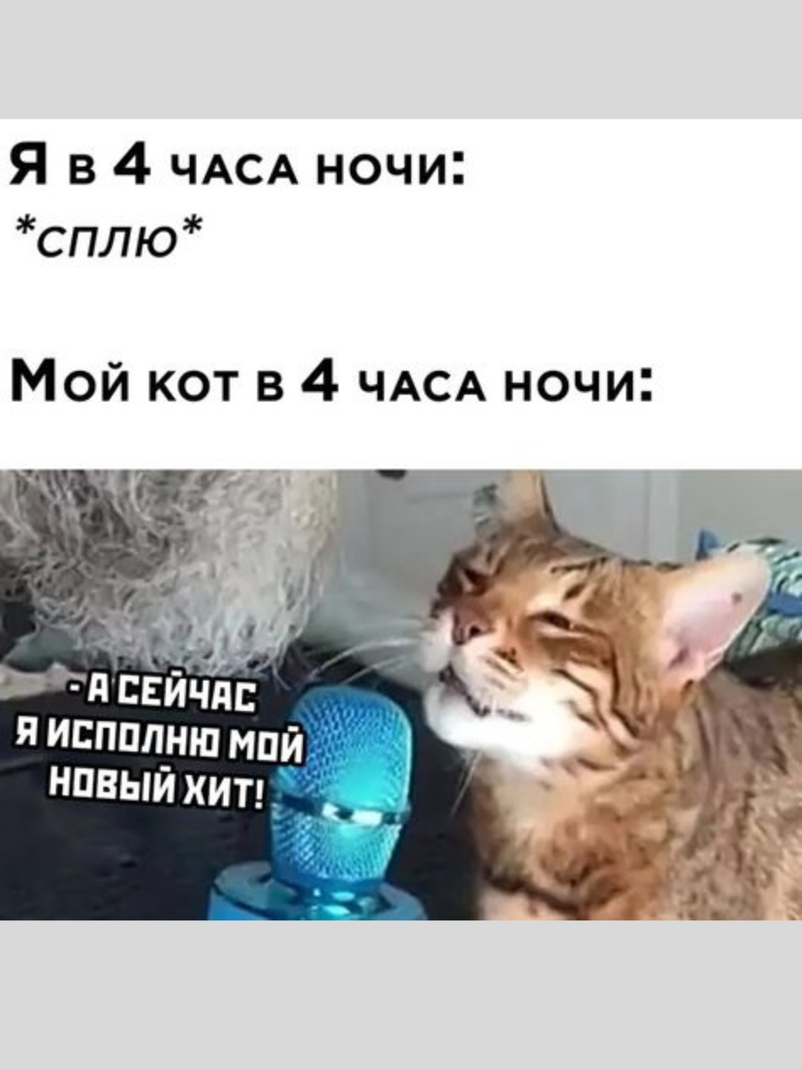 Ты т вы
