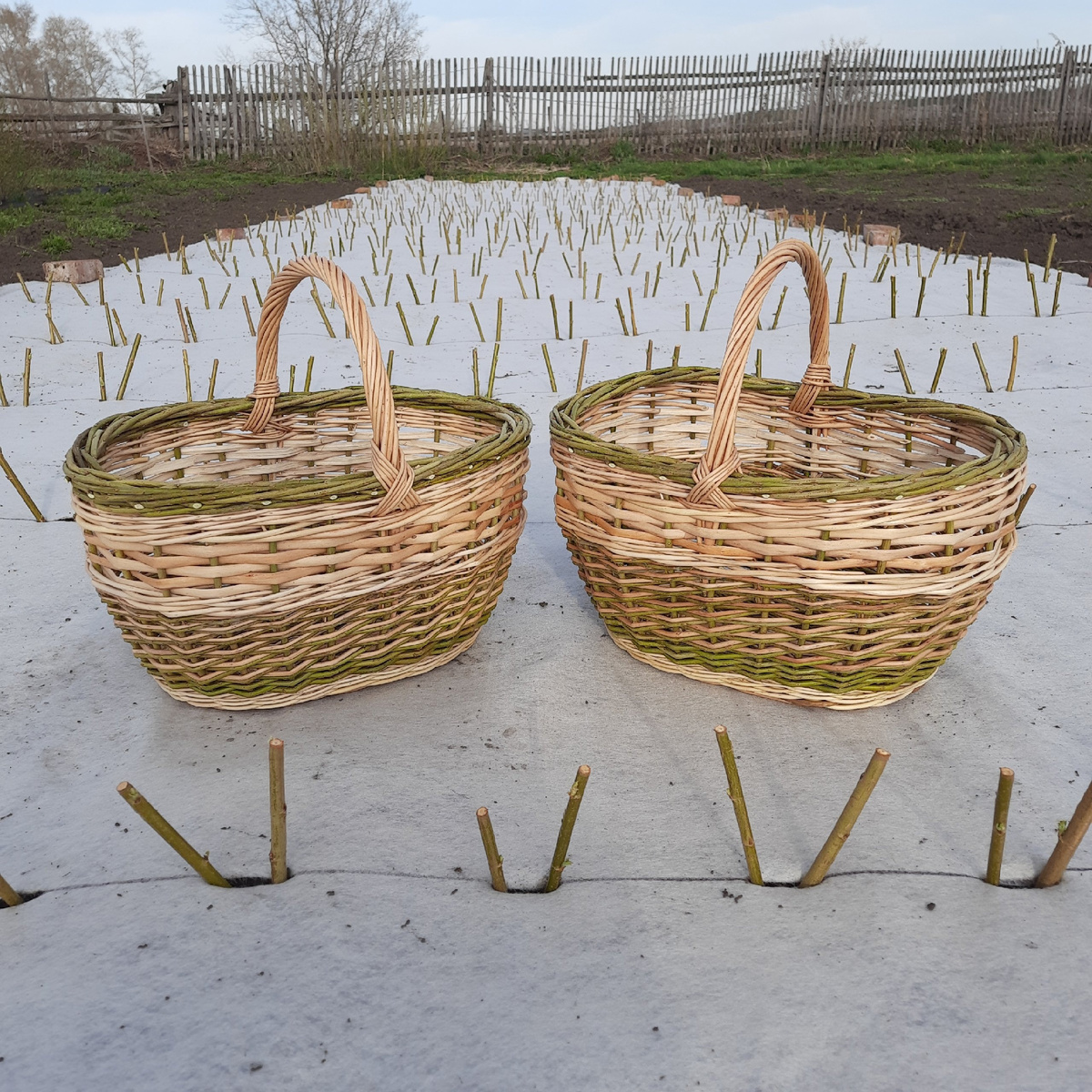 Одна из корзинок — моя. Так она выглядела у продавца: https://vk.com/loza.sibiri54, перед тем, как ее приобрели мне в подарок)