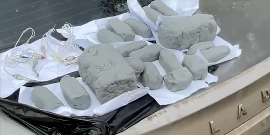 Источник фото: скрин с видео РИА Новости 
