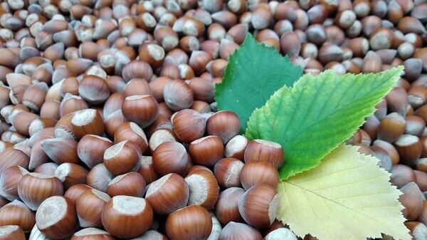    © Photo : Unsplash / Anna Evans