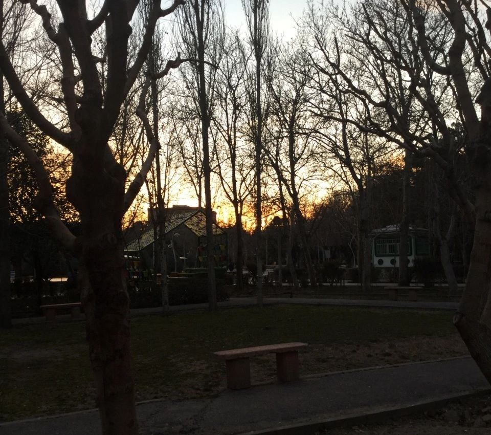 Парк