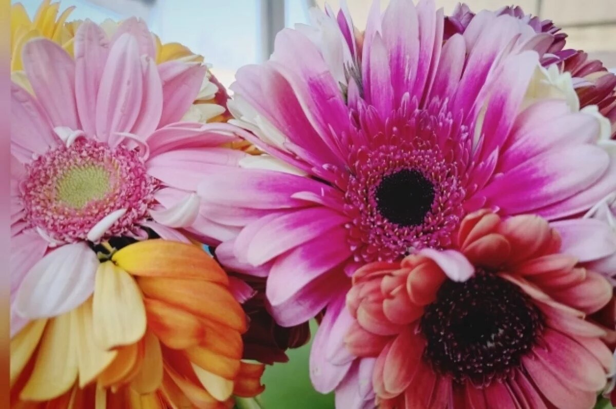    Стало известно насколько подорожают цветы к 1 сентября