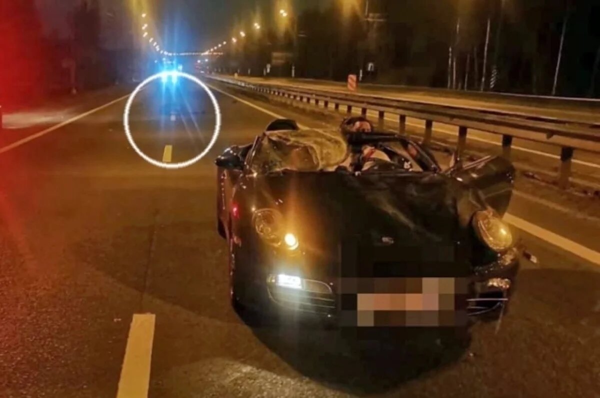    На трассе «Кола» под Петербургом Porsche на большой скорости влетел в лося