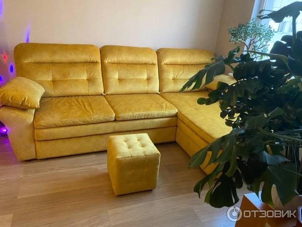 Фотоотзыв от клиентов