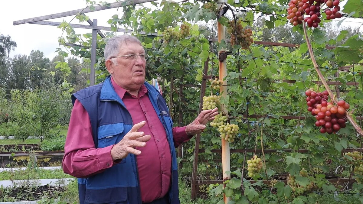     Автор: Артем Шершнев Источник: atas.info