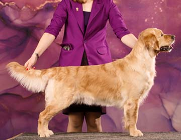 Фортуна Шахрияра Олуна