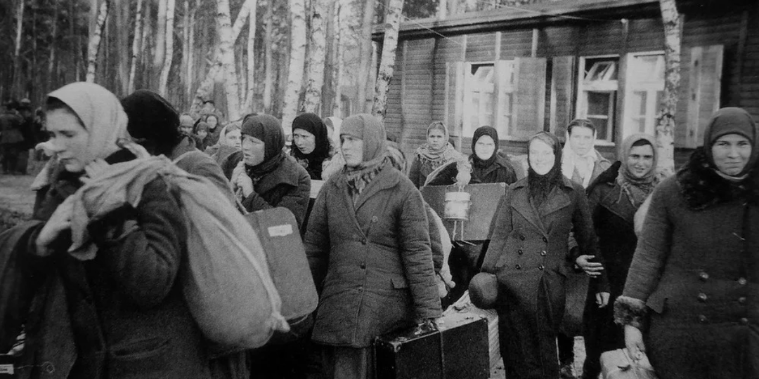 Сколько людей, которых угнали в Германию, не захотели возвращаться в СССР, после войны