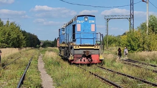 ТГМ6А-2296 работает на разьезде к станции Горино.