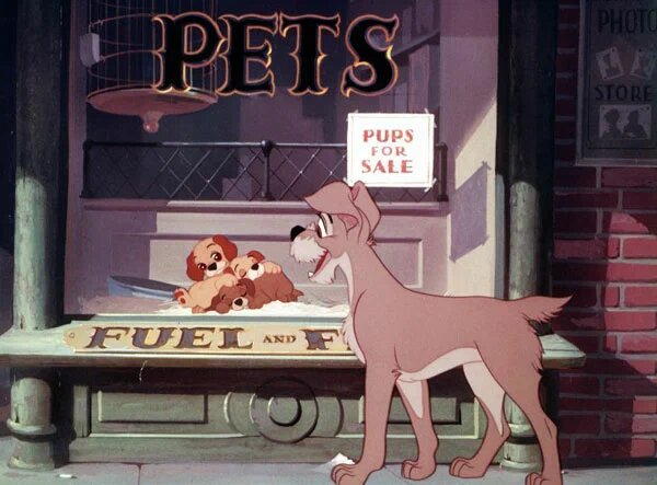 Леди и бродяга