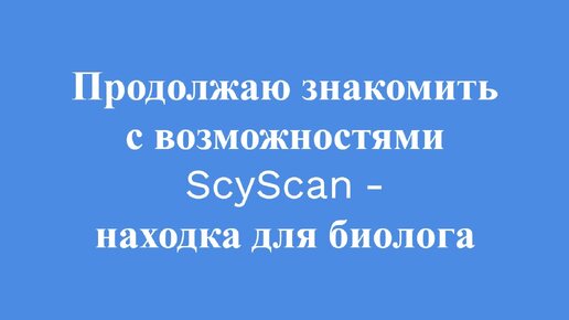 Изучаем анатомию животных с помощью томографа