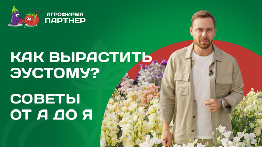 Download Video: КАК ЛЕГКО ВЫРАСТИТЬ ЭУСТОМУ: ПРАКТИЧЕСКИЕ СОВЕТЫ И ПРОВЕРЕННЫЕ РЕКОМЕНДАЦИИ