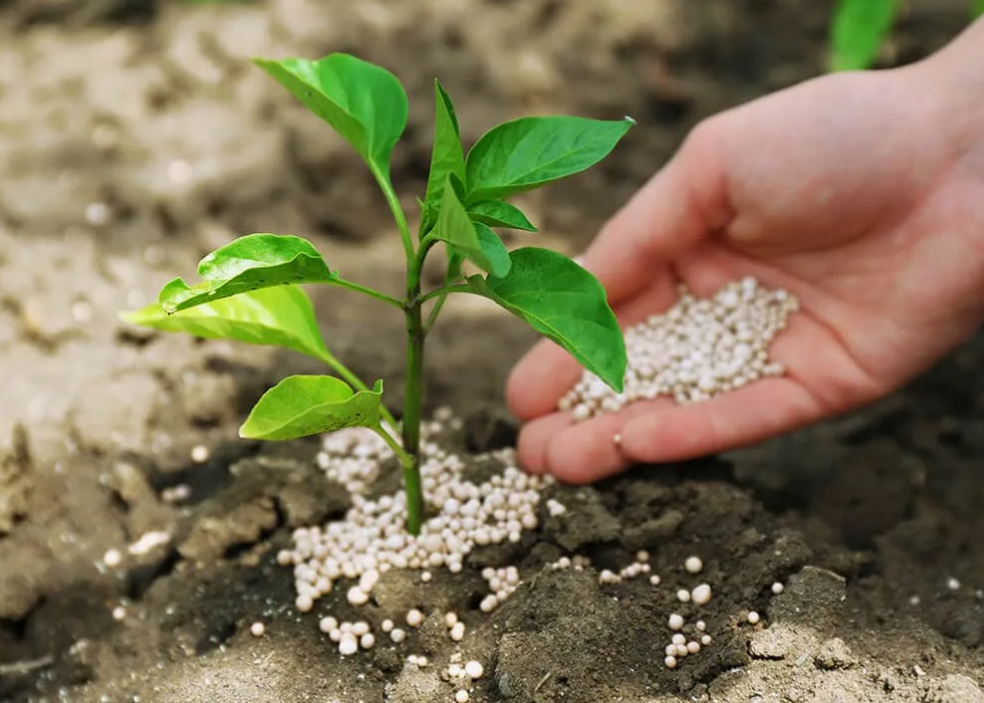 Добавьте описание