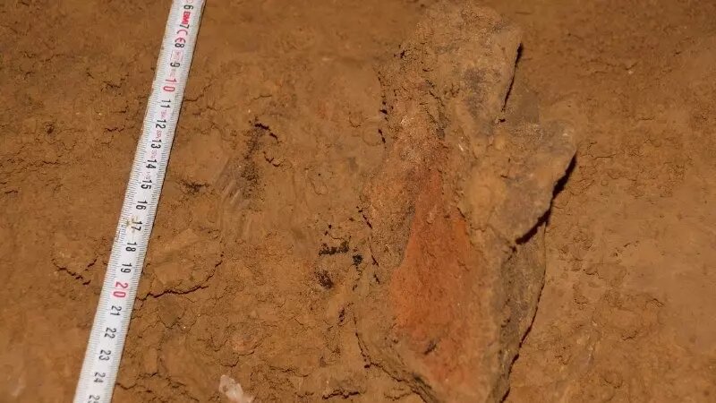     Автор: Владислав Житенëв Источник: https://t.me/naukamsu