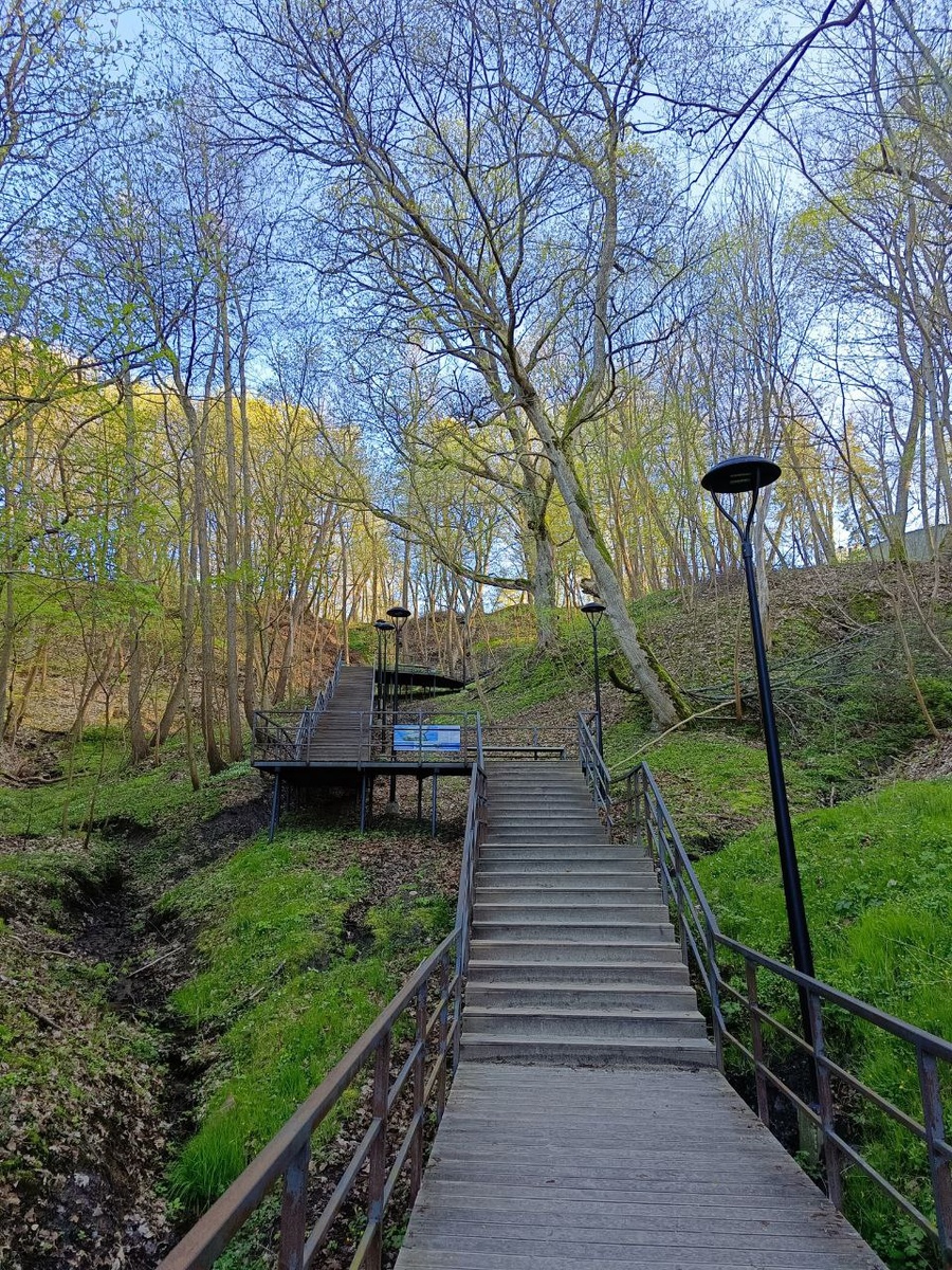 Светлогорск, Отрадное