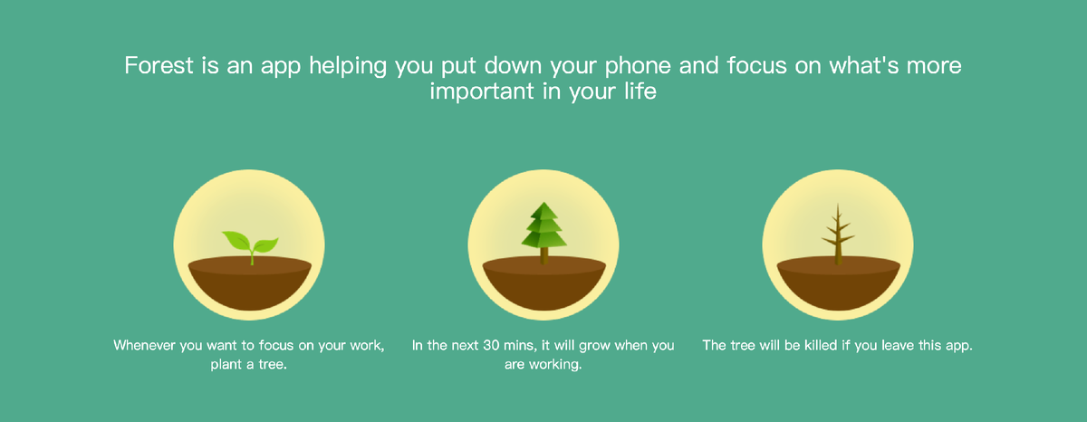 https://www.forestapp.cc