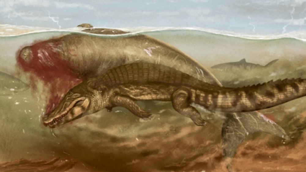    Фото: Aldo Benites-Palomino et al./Journal of Vertebrate Paleontology, 2024
