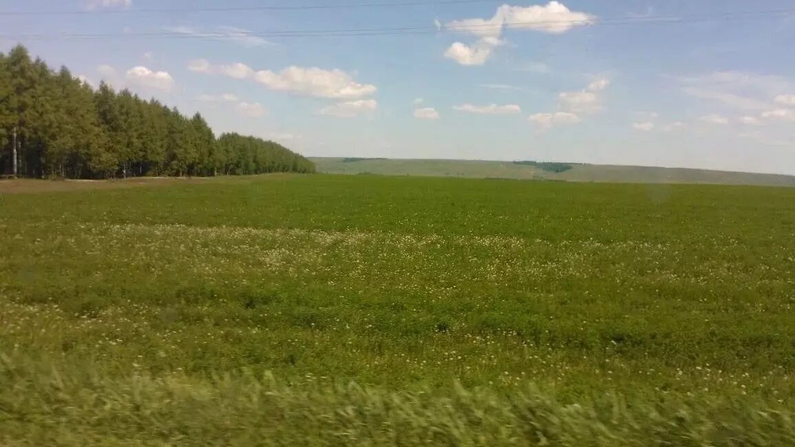     Источник: inkazan.ru