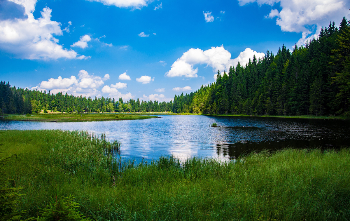 Яндекс.Картинки