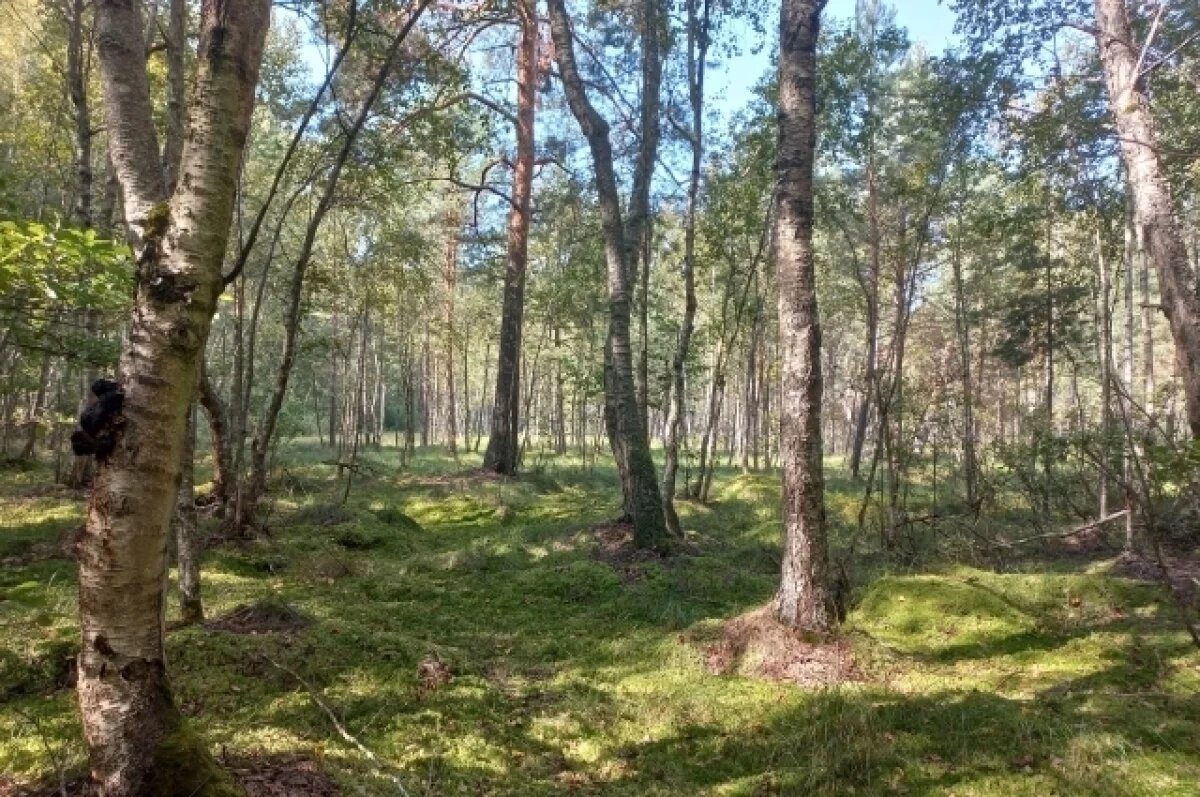    В Тульской области появилась новая особо охраняемая природная территория