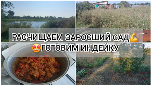 ДАЧНЫЙ ВЛОГ🏡 РЕЦЕПТ ИНДЕЙКИ С РИСОМ🔥 РАБОТА В САДУ