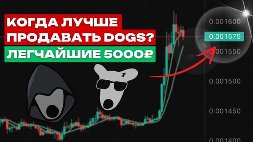 НЕ ПРОДАВАЙ DOGS ПОКА НЕ ПОСМОТРИШЬ ЭТО ВИДЕО | ПРОГНОЗЫ СБЫЛИСЬ | КАЖДЫЙ МОГ