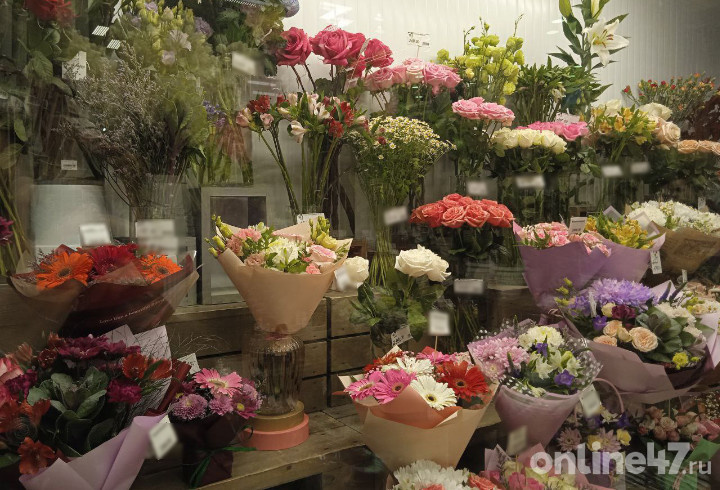 Фото: Дарья Нестерова/Online47 