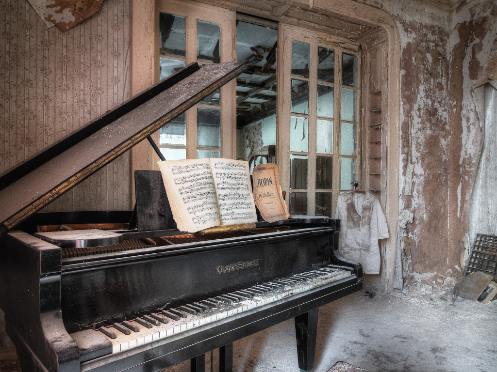 Яндекс. Картинки. 