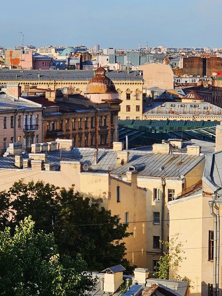 По крышам и парадным. По крышам и парадным