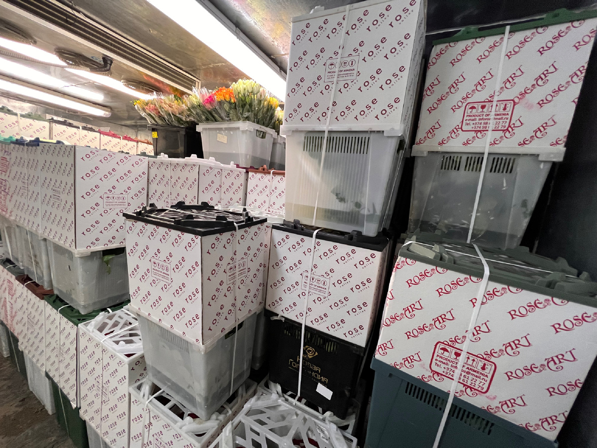 Поступление розы.