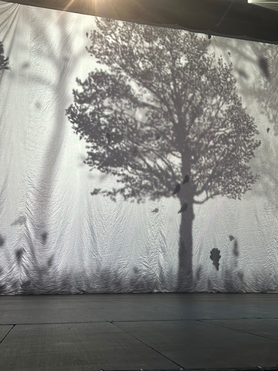 Проекция на сцене. Фото автора.