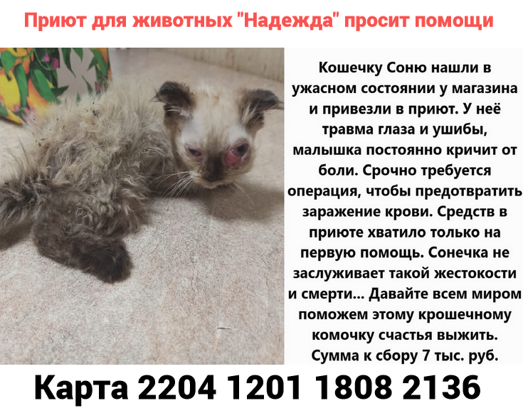 2 августа 2024 боевые действия