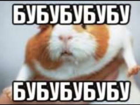 бубубуб