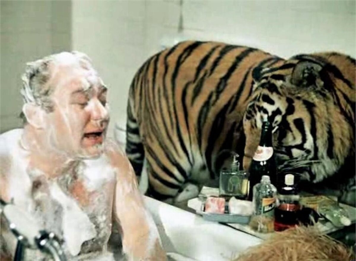 Кадр из фильма "Полосатый рейс". 