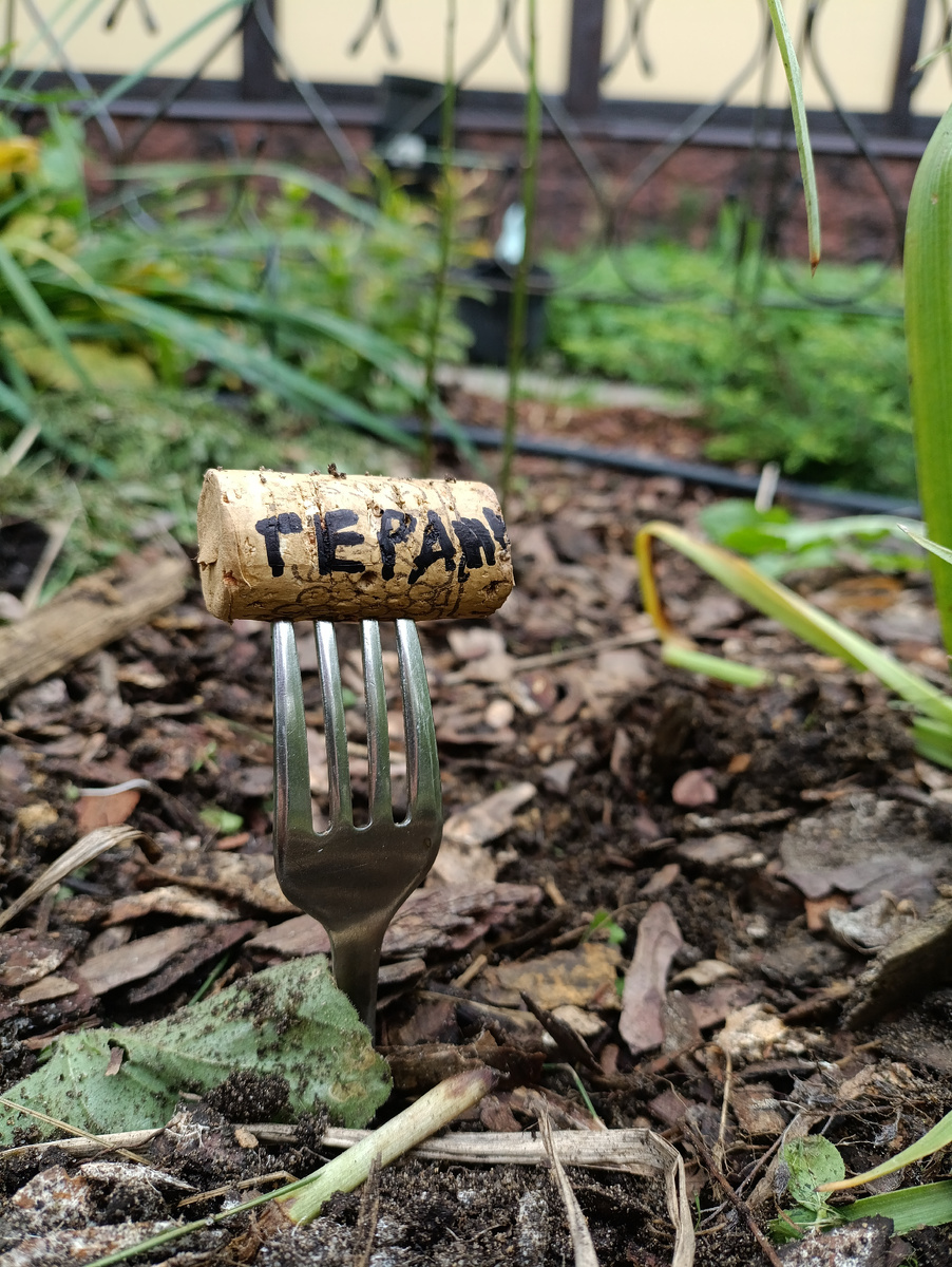 Мои садовые таблички