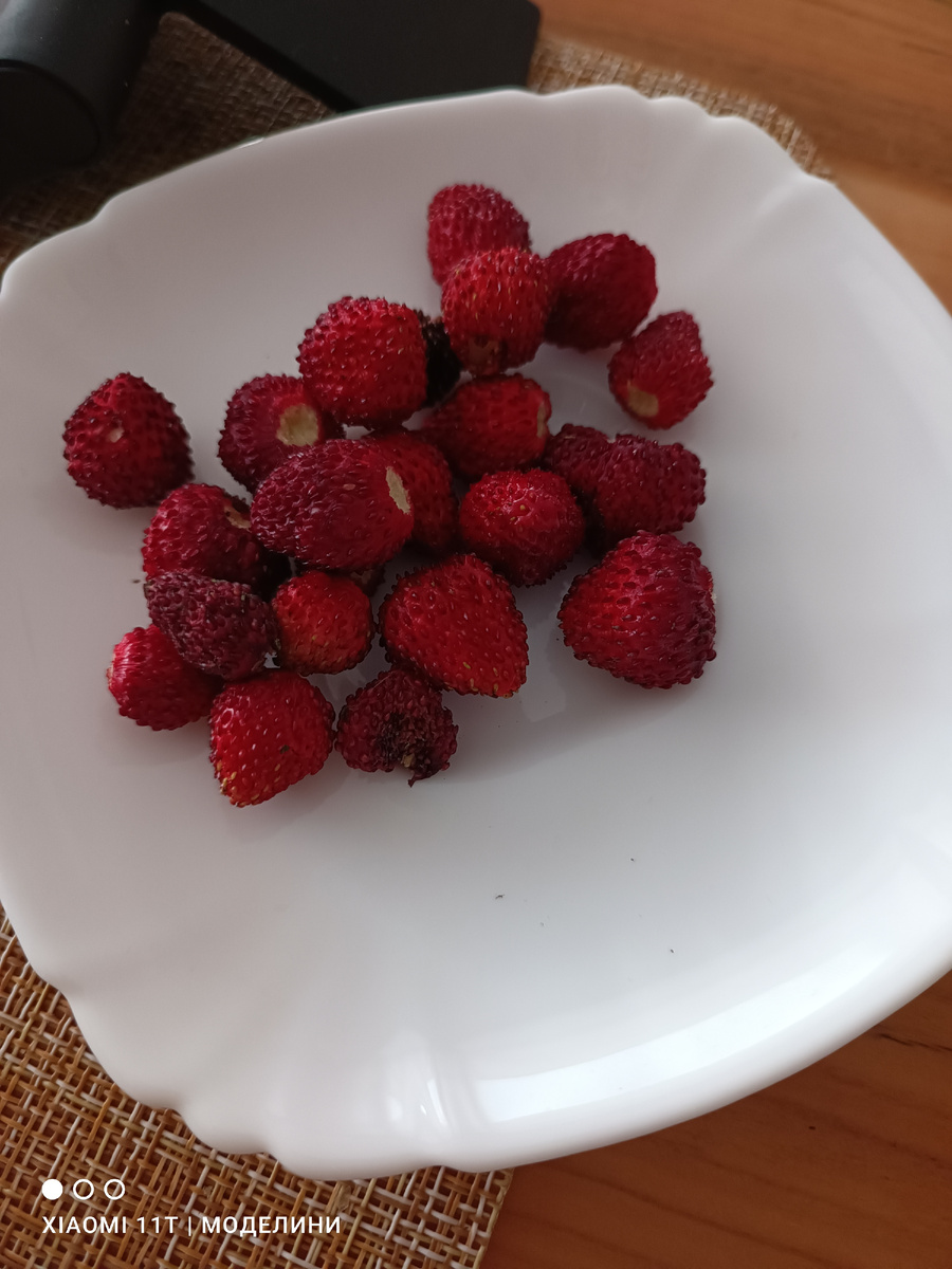И даже немного земляники своей🤩