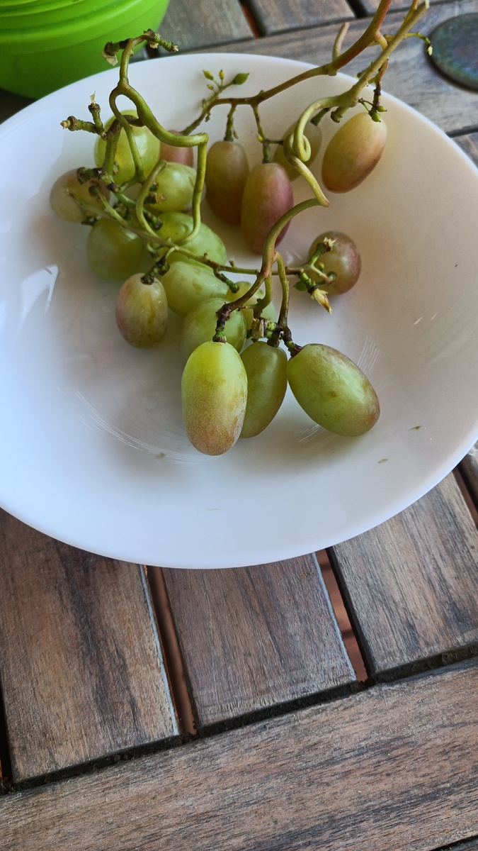 Еле успела сфоткать. Так быстро его ели🤣🤣🤣