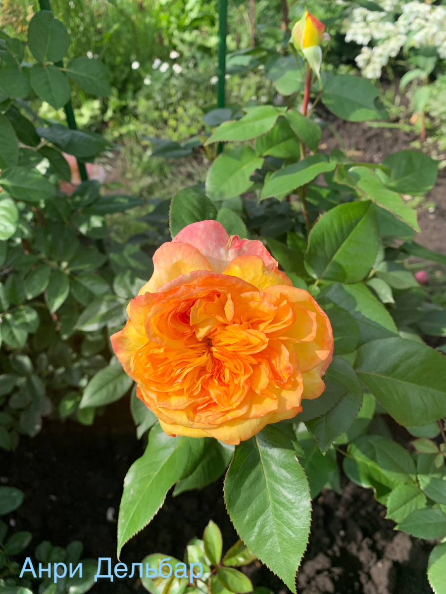 все фото автора