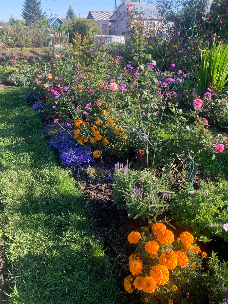 Розарий. Утренний