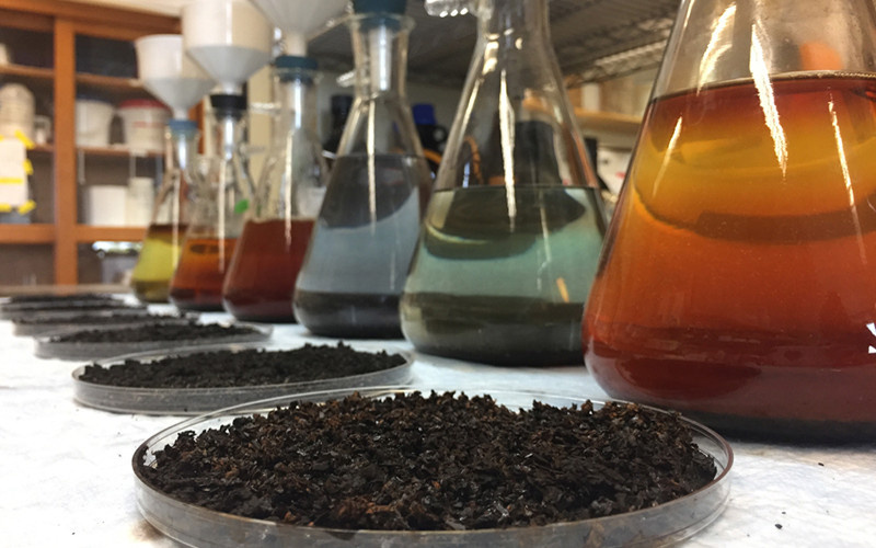 Исследование почвы