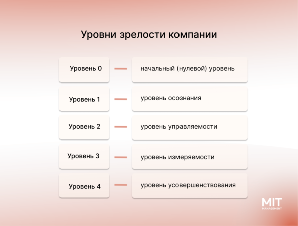 Уровни зрелости компании