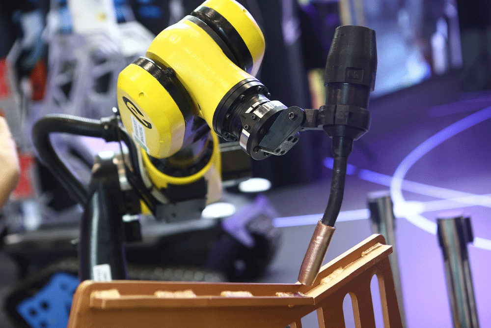 Фото: Петров Иван, nsknews.info